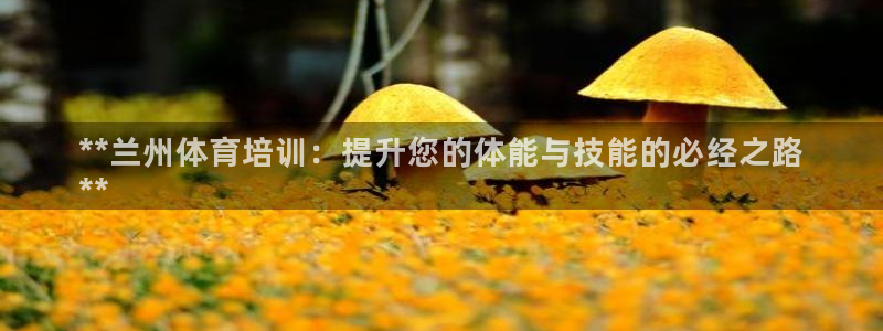 耀世平台代理多少钱：**兰州体育培训：提升您的体能与