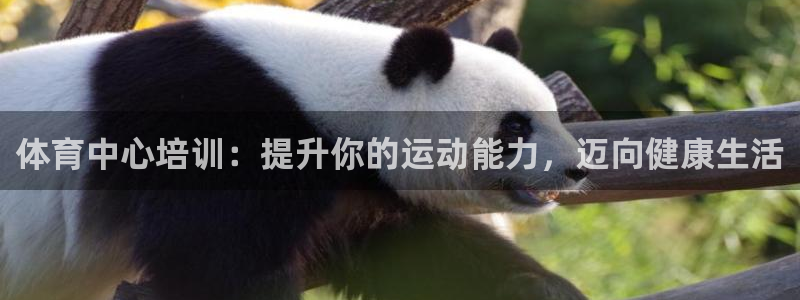 耀世集团的创始人是谁：体育中心培训：提升你的运动能力