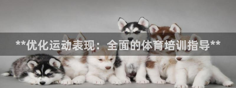 耀世团长：**优化运动表现：全面的体育培训指导**