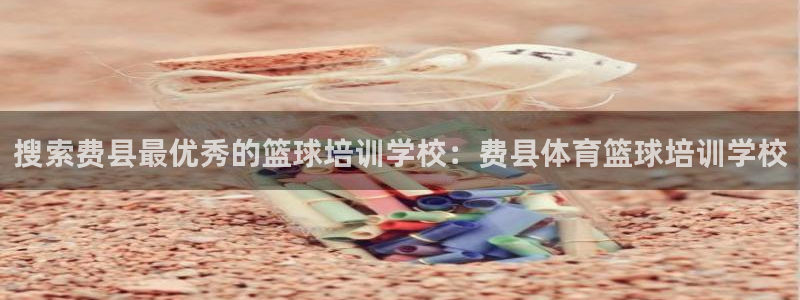 耀世盛典手游下载官网：搜索费县最优秀的篮球培训学校：