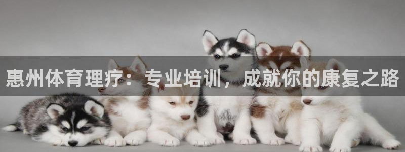 耀世平台最新注册地址在哪：惠州体育理疗：专业培训，成