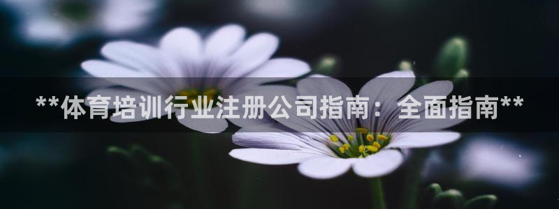 耀世娱乐违法吗：**体育培训行业注册公司指南：全面指南**