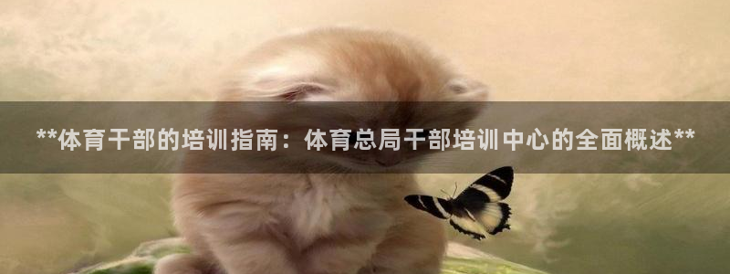 耀世国际平台正规吗安全吗是真的吗：**体育干部的培训