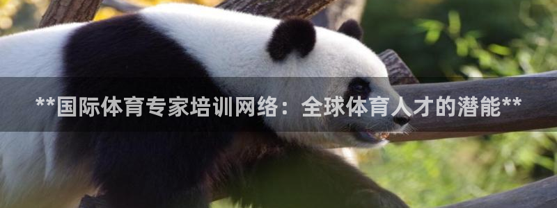 耀世集团耀宗：**国际体育专家培训网络：全球体育人才