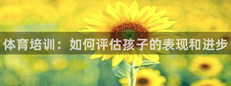 耀世娱乐辅助
