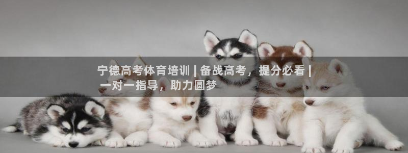 耀世集团董事长抖音是谁：宁德高考体育培训 | 备战高