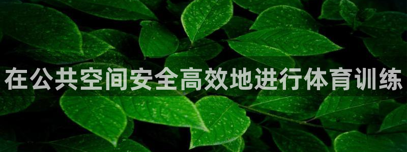 耀世盛典手游下载：在公共空间安全高效地进行体育训练