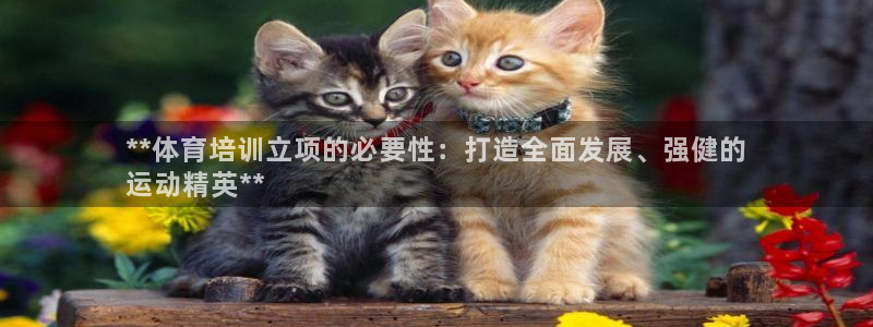 耀世平台理7O777：**体育培训立项的必要性：打造