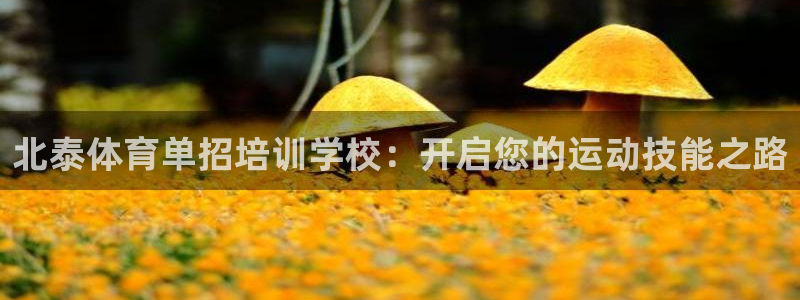 耀世娱乐是正规还是仿：北泰体育单招培训学校：开启您的