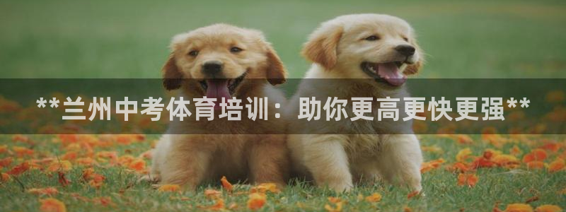 耀世娱乐老板：**兰州中考体育培训：助你更高更快更强