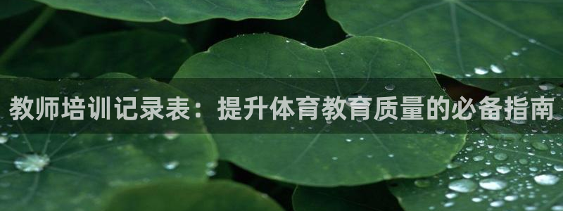 耀世娱乐网站：教师培训记录表：提升体育教育质量的必备