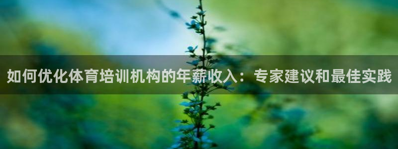 耀世集团是干嘛的：如何优化体育培训机构的年薪收入：专