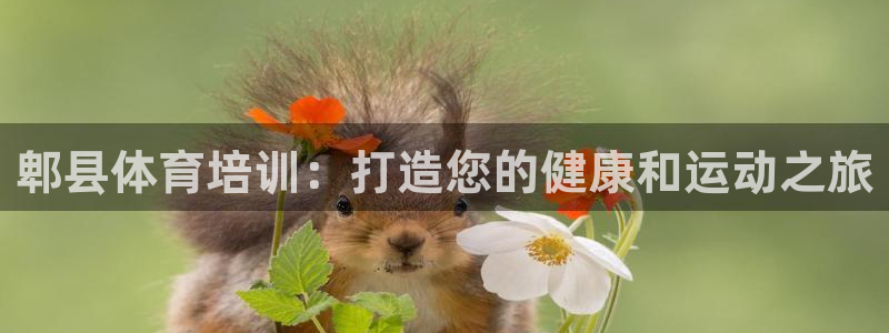 耀世集团王大聪简介：郫县体育培训：打造您的健康和运动之旅