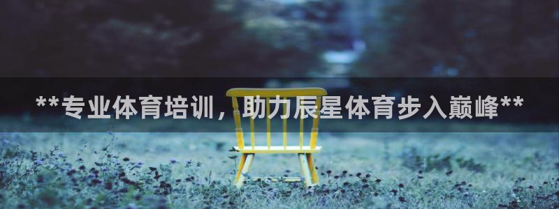 耀世平台代理怎么做任务：**专业体育培训，助力辰星体育步入巅