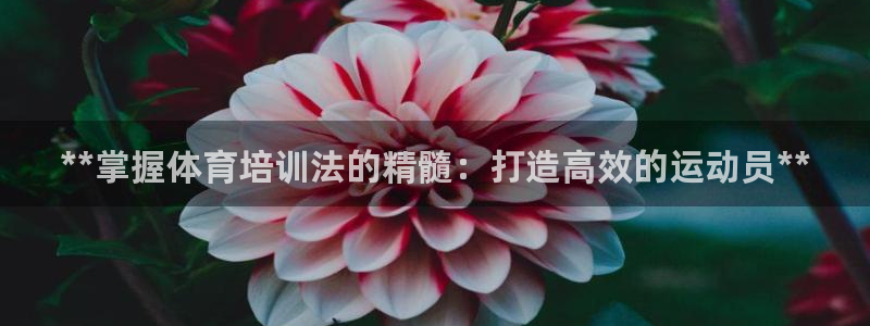 耀世娱乐官网网站下载：**掌握体育培训法的精髓：打造高效的运