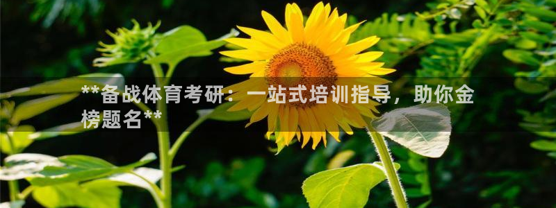 耀世平台app下载：**备战体育考研：一站式培训指导，助你金