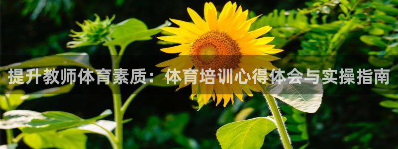 耀世集团是干嘛的企业啊：提升教师体育素质：体育培训心