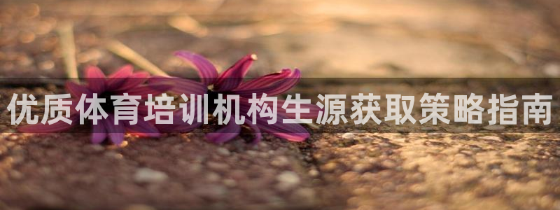 耀世娱乐官网网站入口：优质体育培训机构生源获取策略指
