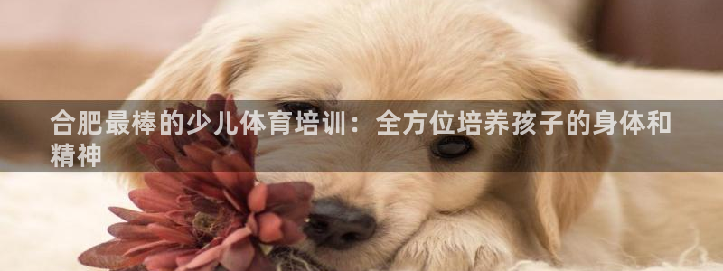 耀世娱乐脚本不死挂机能玩吗：合肥最棒的少儿体育培训：