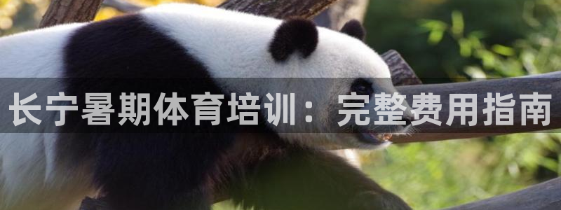 耀世集团视频直播：长宁暑期体育培训：完整费用指南