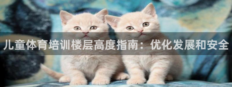 耀世盛典手游：儿童体育培训楼层高度指南：优化发展和安