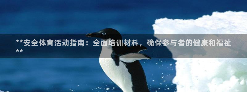 耀世娱乐含山：**安全体育活动指南：全面培训材料，确