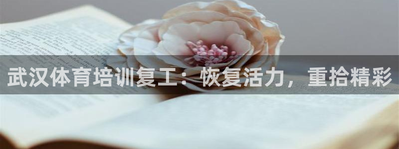 耀世微光mp3下载：武汉体育培训复工：恢复活力，重拾