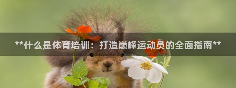 耀世娱乐下载最新版本安装包大全：**什么是体育培训：打造巅峰