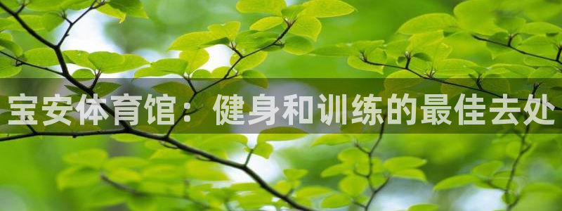 耀世娱乐招商注册 知乎账号：宝安体育馆：健身和训练的