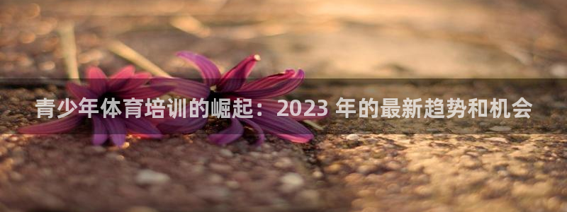 耀世平台最新注册地址在哪：青少年体育培训的崛起：20