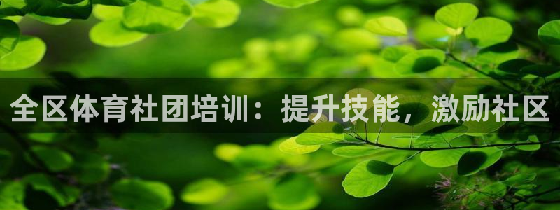 耀世辉煌：全区体育社团培训：提升技能，激励社区