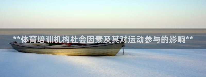 耀世集团耀宗：**体育培训机构社会因素及其对运动参与