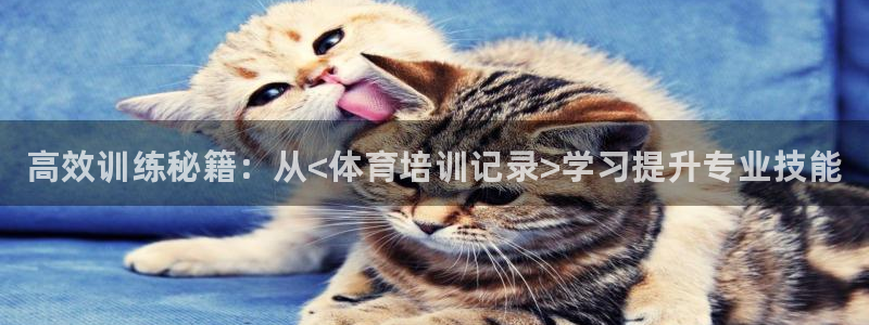 耀世集团视频介绍大全