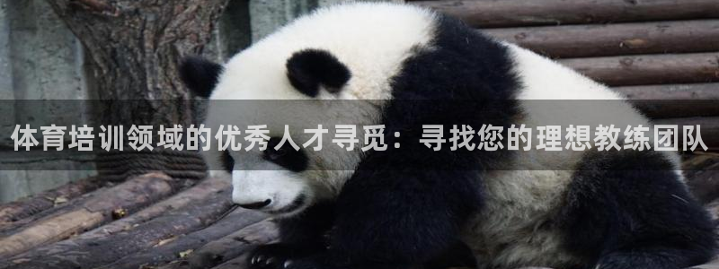 耀世集团商业联盟罗文斌主任：体育培训领域的优秀人才寻觅：寻找