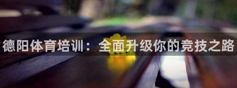 耀世娱乐百科官网：德阳体育培训：全面升级你的竞技之路