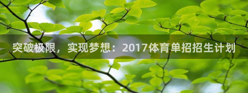 耀世平台负责人怎么样：突破极限，实现梦想：2017体
