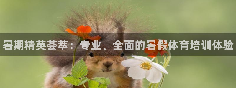 耀世平台哪个彩种是公平彩的：暑期精英荟萃：专业、全面的暑假体